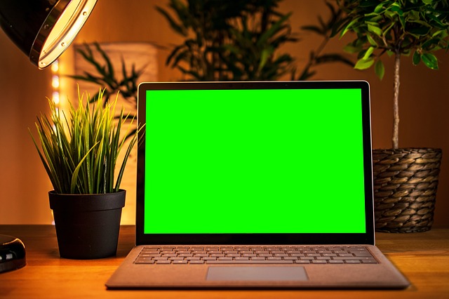 zelený monitor